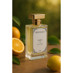 Vayu – Citrus & Musk Eau de Parfum (100 ML)